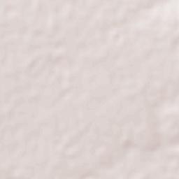 Chayotillo Terrain Map