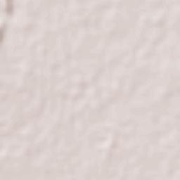 Alberto Carrera Torres Terrain Map