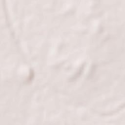 Jetpur (Navagadh) Terrain Map