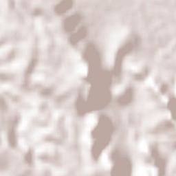 El Jicote Terrain Map