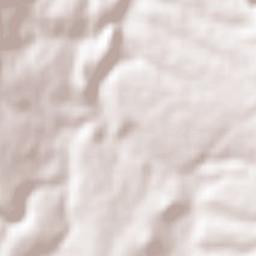 Puente de Camotlán Terrain Map