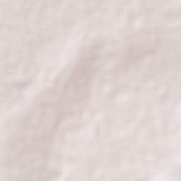 Peñuelas (El Cienegal) Terrain Map