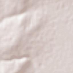 Guadalupe Victoria Terrain Map