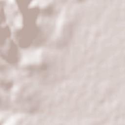 El Zapote Terrain Map