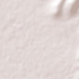 El Rosario Terrain Map