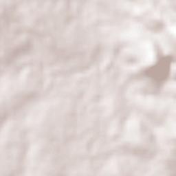 El Fuerte Terrain Map