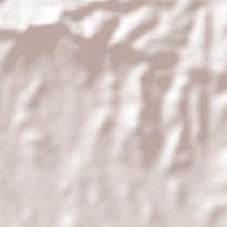 San Francisco Cuayalab Terrain Map