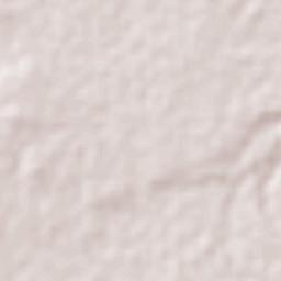 San Vicente Tancuayalab Terrain Map