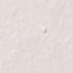 Bhatapara Terrain Map