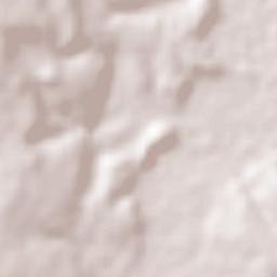 Tepechitlán Terrain Map