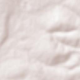 San Antonio de Peñuelas Terrain Map