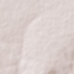 Bajío de San José Terrain Map