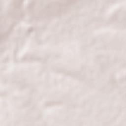 La Verdolaga Terrain Map