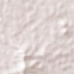 Ozuluama de Mascareñas Terrain Map