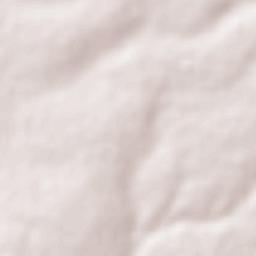 El Jaralillo Terrain Map