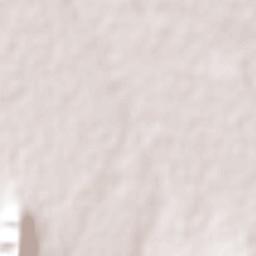 El Puesto Terrain Map