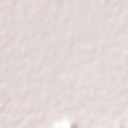 El Carretón Terrain Map