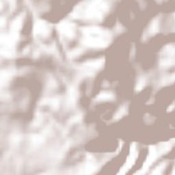 Santa Catarina Terrain Map