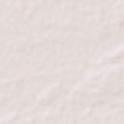 Ankleshwar Terrain Map