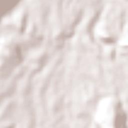 Francisco I. Madero Terrain Map