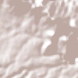 Santiago de Pochotitán Terrain Map