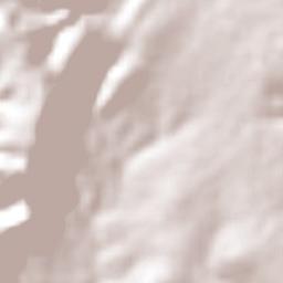 Las Amarillas Terrain Map