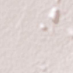 San Bartolo de Berrios Terrain Map