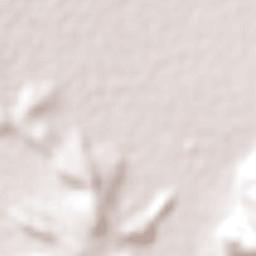 San José de Rancho Nuevo (Los Arrieros) Terrain Map