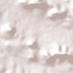 Ejido la Pitahaya (Santo Domingo) Terrain Map