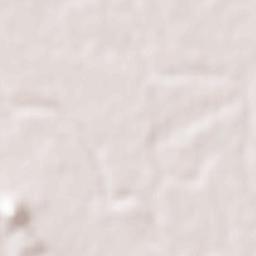 Lodhikheda Terrain Map