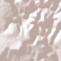 Tlachichila Terrain Map