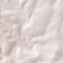 Mechoacanejo Terrain Map