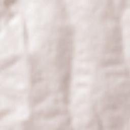 Corral Blanco Terrain Map