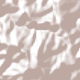 San Martín de Bolaños Terrain Map