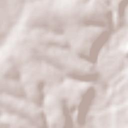 José de Jesús Aguirre Teocaltiche Terrain Map