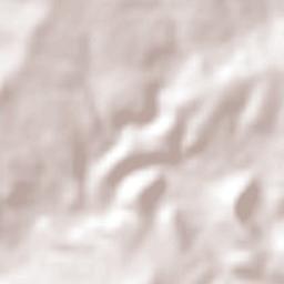 Ejido Ciénega de Mora Terrain Map