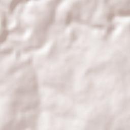 Encarnación de Díaz Terrain Map