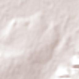 San José del Torreón Terrain Map