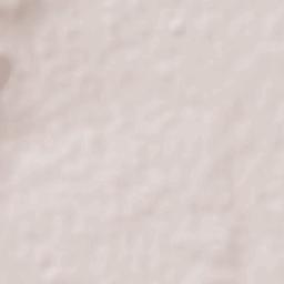 San Felipe Terrain Map