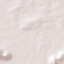 Chicholi Terrain Map