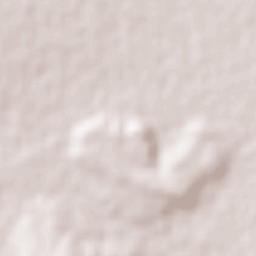 Pantanal Terrain Map