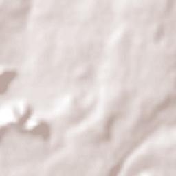 Mojarras Terrain Map