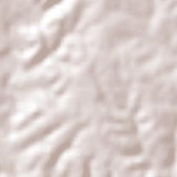 Ahuetita de Abajo Terrain Map