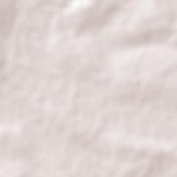 El Mesoncito Terrain Map