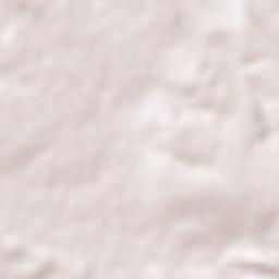 El Jaralito Terrain Map