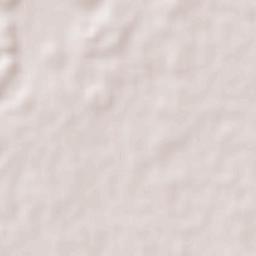 Dzilam de Bravo Terrain Map