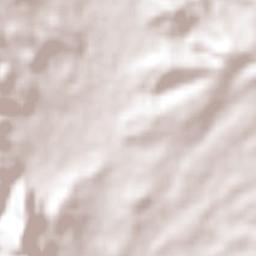 Juchipila Terrain Map