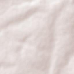 San Antonio de los Barrera Terrain Map