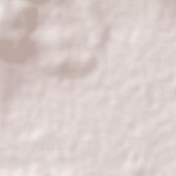 El Bajío Terrain Map