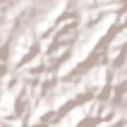 Tantoyuca Terrain Map